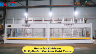Henrriet 12 meter 16 cylinder customized cold press machine
